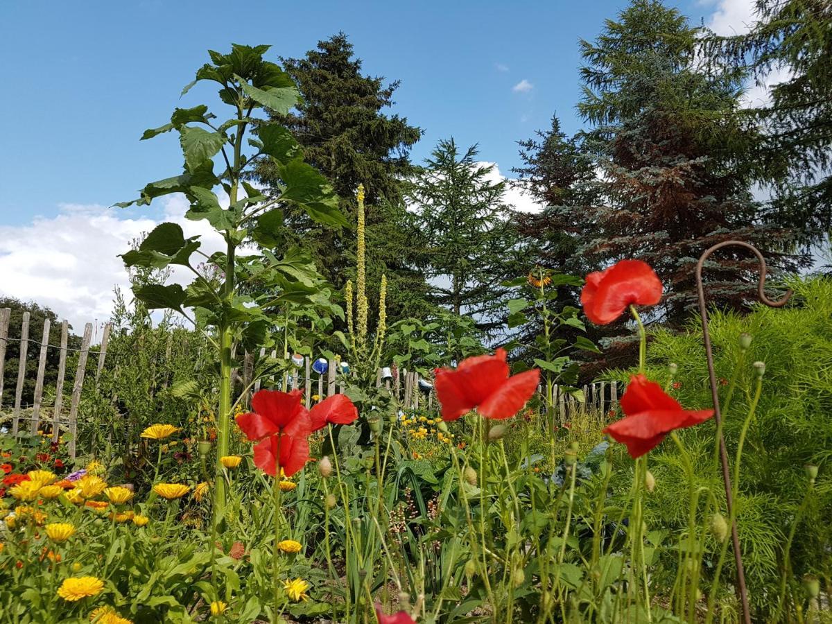 B&B Bauernhofferien Auf Mon Askeby Zewnętrze zdjęcie