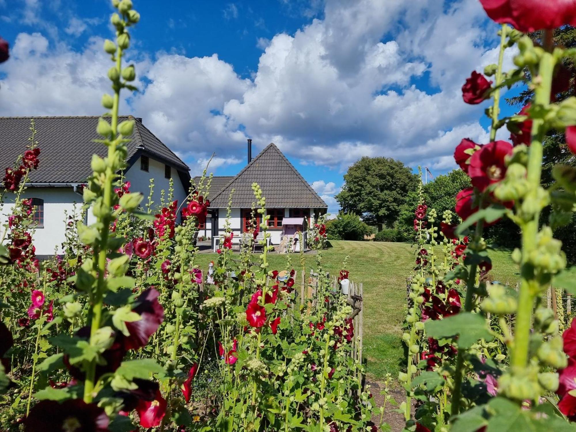 B&B Bauernhofferien Auf Mon Askeby Zewnętrze zdjęcie
