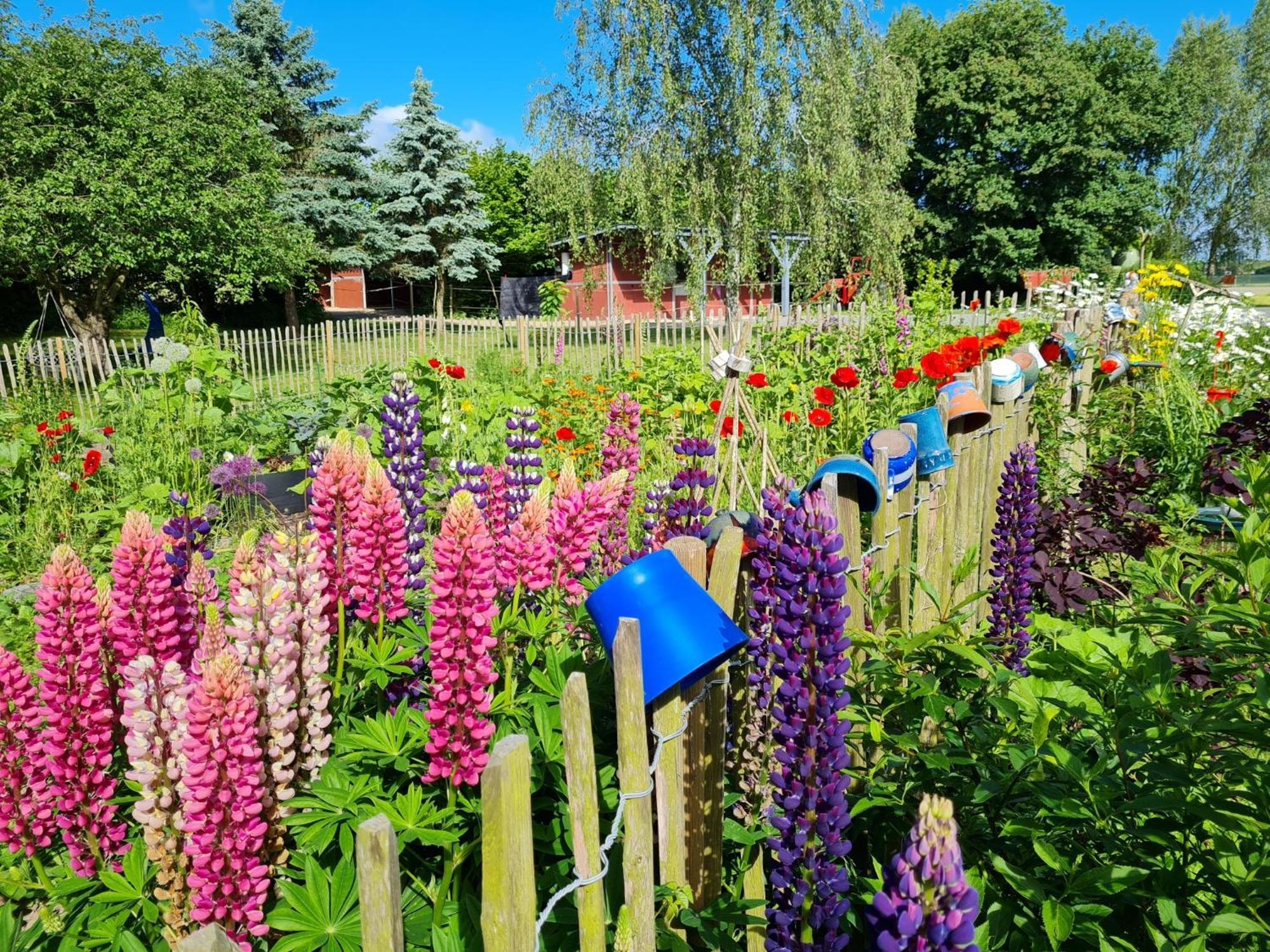 B&B Bauernhofferien Auf Mon Askeby Zewnętrze zdjęcie