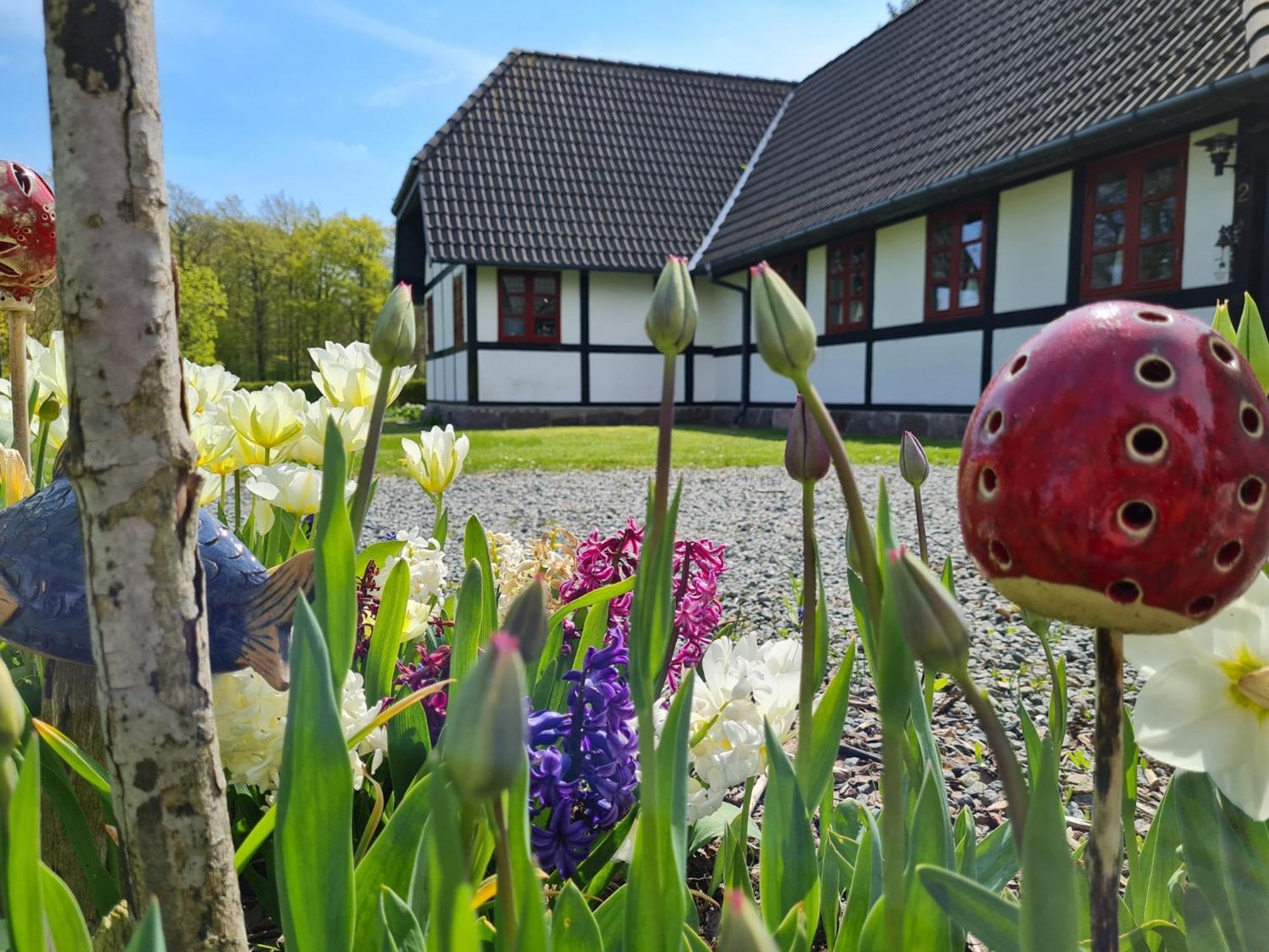 B&B Bauernhofferien Auf Mon Askeby Zewnętrze zdjęcie
