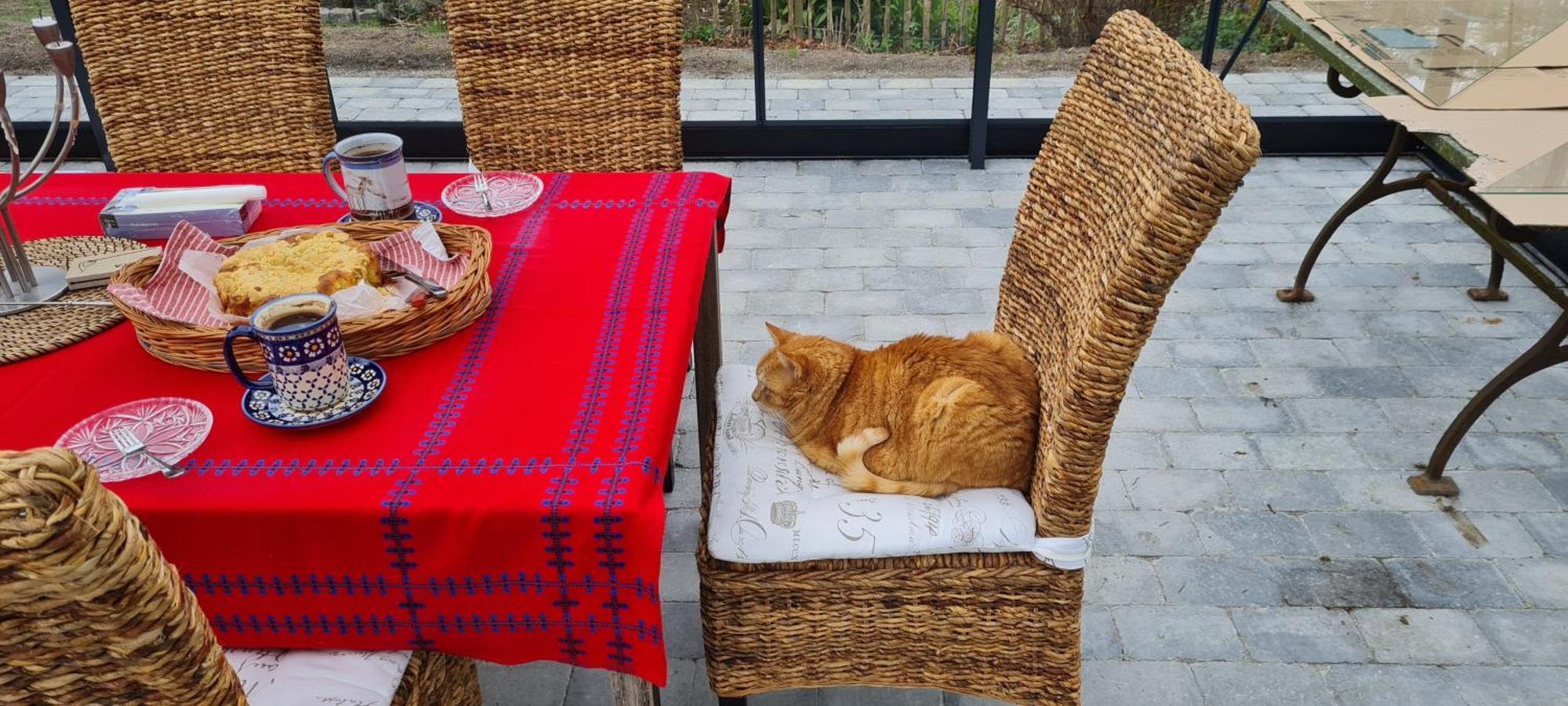B&B Bauernhofferien Auf Mon Askeby Zewnętrze zdjęcie